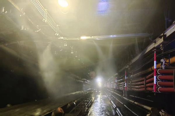 1700035355145753.jpg Åäͼ2_¸±±¾.jpg