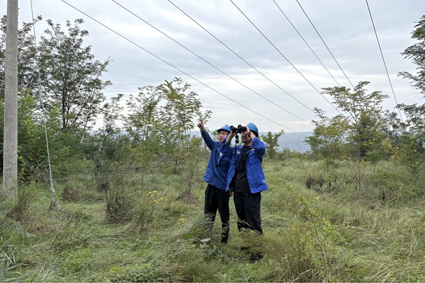 1759027425756759.jpg 3.Ïß·רÏîѲ²é_¸±±¾.jpg