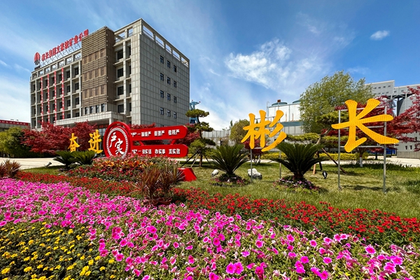 1690852930127676.jpg 1_¸±±¾.jpg