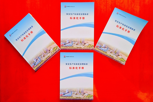 1 ��׼���ֲ�_����.jpg