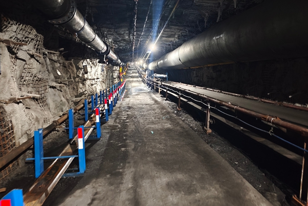 1764916978919959.jpg 图2_副本.jpg