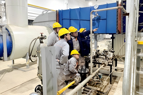 1769567545133553.jpg 2_¸±±¾.jpg